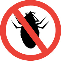 Informative Source For Bed Bug Prevention, Eradications, and everyday tip to protect Yourself and your Family!