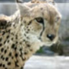 RichWorldJP's profile picture. 金利が高い金融商品をどんどん買いたい。
でもリスクを知ってください。
リスクとリターンが最高になるようなものを買ったとき、
お金がどんどんたまります。
頑張ってつぶやきます。