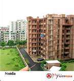 NoidaCity's profile picture. 