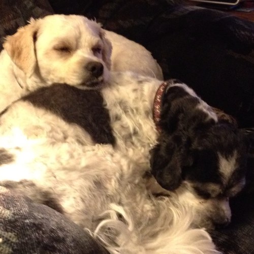 littleone0523's profile picture. I have 2 beautiful girls and a great hubby. I am blessed.