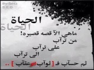 معلمة/ ماجستير مناهج وطرق تدريس علوم • فخورة بمهنتي وشغوفة بها .  مؤسس وعضو جمعية ود الرقمية للتنمية الإجتماعية