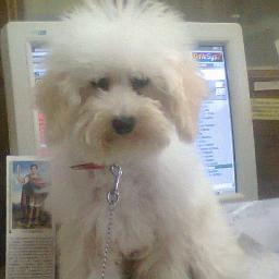 fmpopular933's profile picture. 