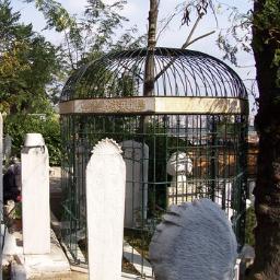 MehmetEminTokad's profile picture. 