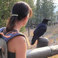 Esther Linnartz (@apis1apis) 's Twitter Profile