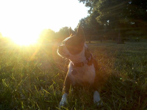 MyBTlife's profile picture. http://t.co/8Wal1Fo0