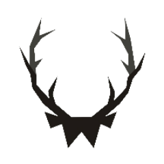 usemocca's profile picture. Fast fashion para homens com acessórios masculinos e camisetas exclusivas