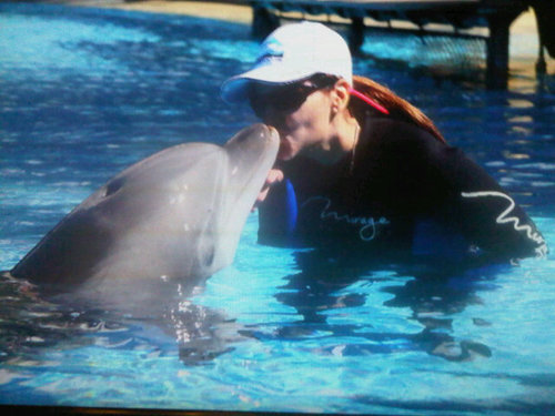 Films & Dolphins
Author of Taj Mahal & Tea