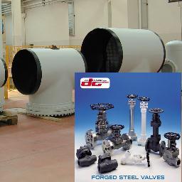 Production of Valves in forged steel, Strainers, Manifolds, Steam traps, Sight Glasses for Petrochemical, Refining, LNG, Power, Urea application - since 1974