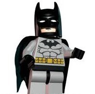 stefece's profile picture. 