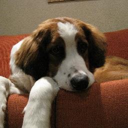 mamiedeleeuw's profile picture. 