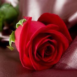 Smartengineer88's profile picture. 