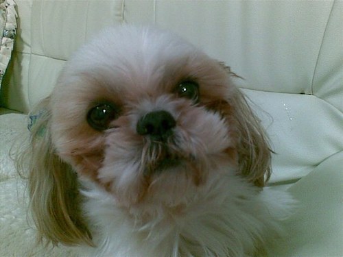 noridaJKT Profile Picture