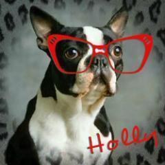 HmmmHolly's profile picture. I'm a Christmas Baby from the 60's!  I like to share my thoughts about life after 50, sometimes about my hubby, often about my grandbabes & my Love of Chickens!