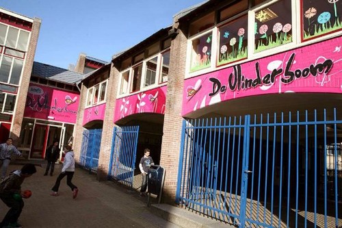 De Vlinderboom is een basisschool voor natuurlijk leren en heeft 3 voltijds klassen voor hoogbegaafde leerlingen. Deze expertise wordt schoolbreed ingezet.