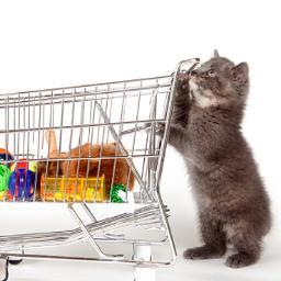 Akan menyediakan segala jenis keperluan kucing
spesial item: CATNIP
SEGERA