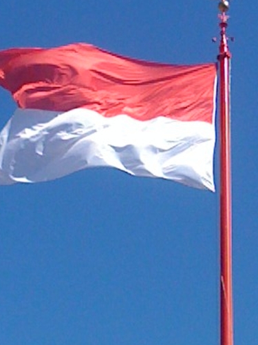 cividaledelf's profile picture. 