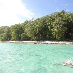 FHPL1's profile picture. 