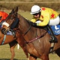 Paddy kennedy (@kennedy_paddy) 's Twitter Profile