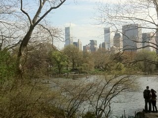 MadeleineCurie's profile picture. 