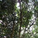 Meredith Gale - @evelyncatori - Twitter