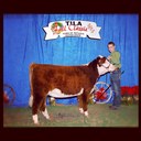 kyle carmack - @kylecarmack - Twitter