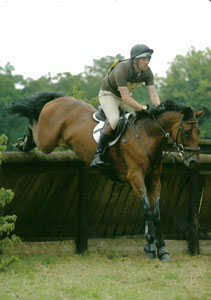 DS_WellyRiding's profile picture. Chief Coach @ Wellington Riding, BHSI, BE accredited coach. Chairman of The British Horse Society.