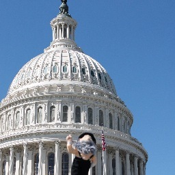 App State in D.C. provides a housing opportunity for current undergraduate & graduate students while they intern or study in Washington, D.C.