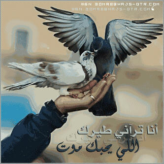 لااله الا الله الحليم رب العرش الكريم