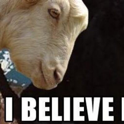 Derek the Goat (@LetsGoForAClimb) / X