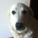 Ben cottle - @Ella46468 - Twitter