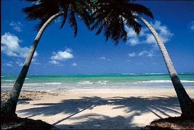 Adoro viajar e curtir a família. 
Atualmente trabalho com marketing na internet. 
E quero apresentar formas verdadeiras de ganhar dinheiro na internet.
