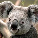 Blake Holder - @sbholder2425 - Twitter