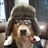 greyes2410's profile image