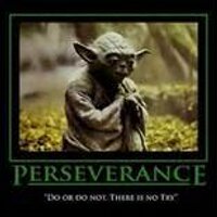 LO Powerlifting (@lopowerlifting) 's Twitter Profile Photo