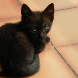 MaelleH12's profile picture. 