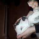 Logan neal - @wawaneal - Twitter