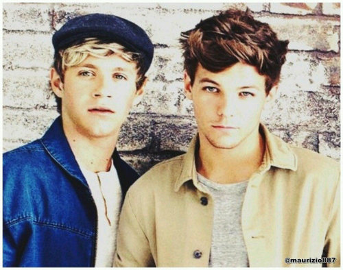 ...ONE DIRECTION CRAZY♥☺...♥lOvE u So MuCh NiAlL♥...