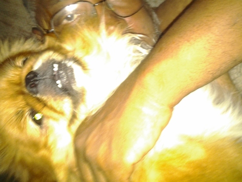 oldbigmuscle's profile picture. gay black male like to workout but is getting old.love Sicence, space, peolpe,scifi. 5'10 198 Lbs but losting