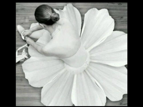 looole_Asssl20's profile picture. حُروفيّ ك ريشة بيضاء ناعمة مُطرزة بالأناقة و الرقي و الغرور ولا يُشبِهُنيّ أحد في تلك الريشة (!، طالبه قانونيه