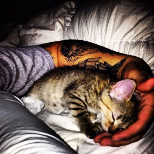 bakedavacad0's profile picture. I am a SLIder. Google it. unique energy. i curse teams by betting on them