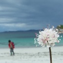 Katherine MacLean - @KatherineMacLe5 - Twitter