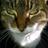 LordTriggs's profile image