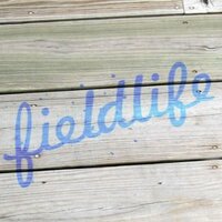 Mouse (@fieldnotebook) 's Twitter Profile