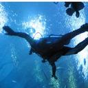 Patrick Lee Romano - @PatrickRomano - Twitter