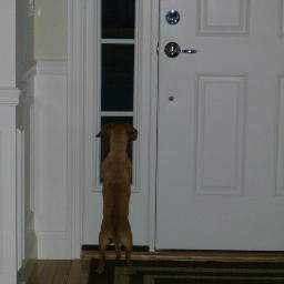 McCauleyJ7's profile picture. 