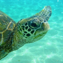 eschmidt2717's profile picture. 