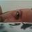 Laddyludde's profile image