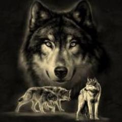 Actualidad Politica y Social, Ecologia, Redes, Digital, Gastronomía, Salud, Ciencia, Tecnología, Espacio, Cultura, Arte, Letras, Teatro, Cine, Musica,