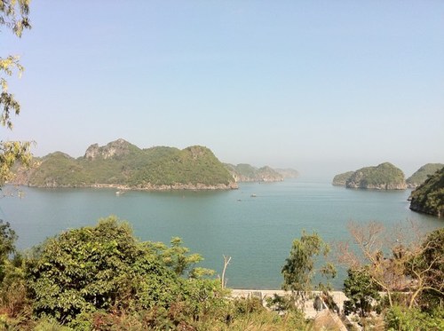 rubberday's profile picture. Financial market, tech, blockchain, DeFi … among others are my interests.