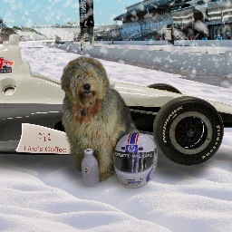 jla4uw's profile picture. Fan of all things Italy...wine, food, coffee, fast cars and also the Indianapolis Motor Speedway.